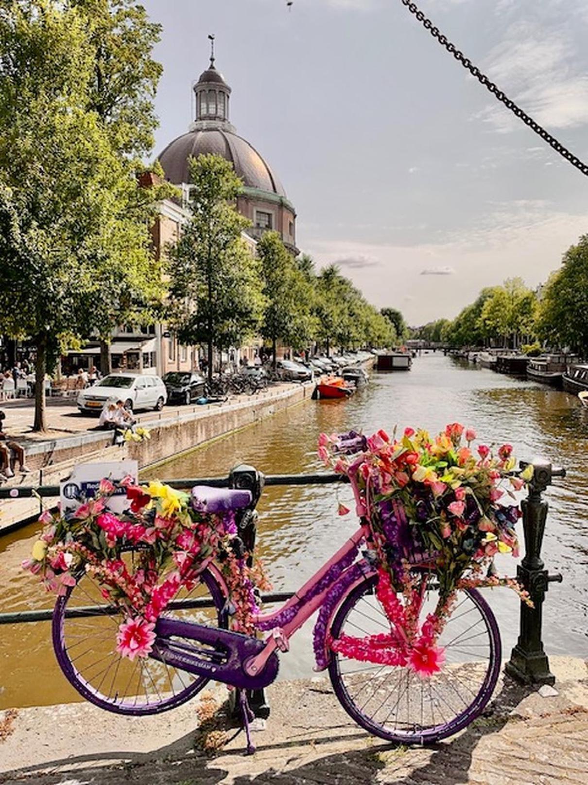 Bed & Breakfast Jo Amsterdam Diemerbrug Eksteriør bilde